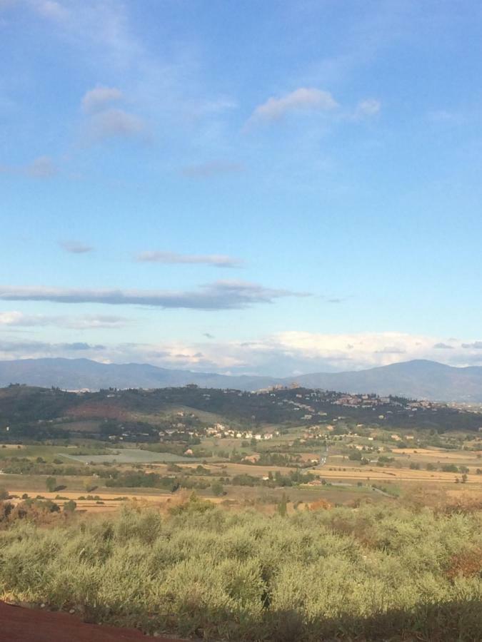 דירות Rigomagno Mansarda Degli Ulivi מראה חיצוני תמונה